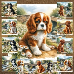 Daisy Creek Pups 10