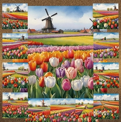 Tulip Fields