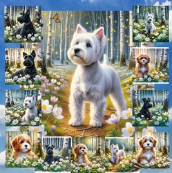 Beautiful Birch Forest Dogs 4