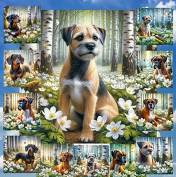 Beautiful Birch Forest Dogs 7