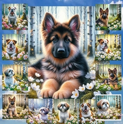 Beautiful Birch Forest Dogs 8