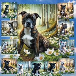 Beautiful Birch Forest Dogs 9