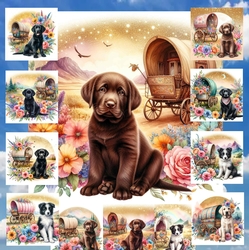 Wildflower Wagon Pups 9