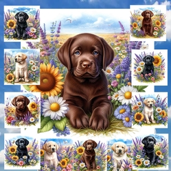 Many Flowers Pups 9
