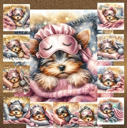 Sleepy Yorkie