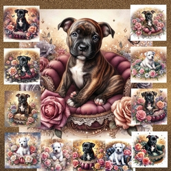 Velvet Rose Pups 3