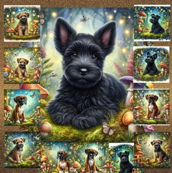 Fairy Glen Pups 7