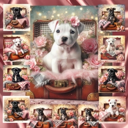 Suitcase Pups 4