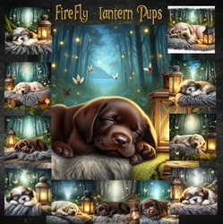 Firefly Lantern Pups 2