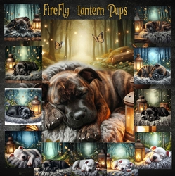 Firefly Lantern Pups 6