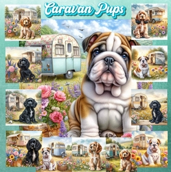 Caravan Pups 1