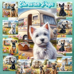 Caravan Pups 2