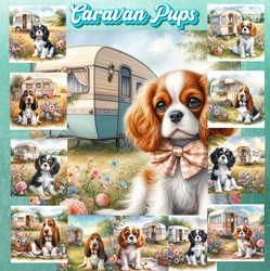 Caravan Pups 6