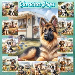 Caravan Pups 10