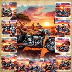 Harley Sunset