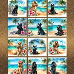 Hibiscus Beach Dogs 1