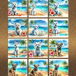 Hibiscus Beach Dogs 2