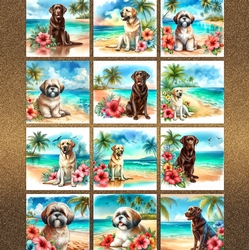 Hibiscus Beach Dogs 3