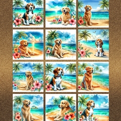 Hibiscus Beach Dogs 5