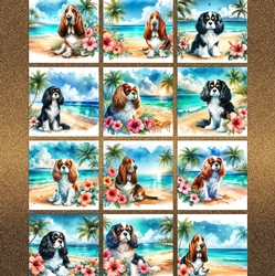 Hibiscus Beach Dogs 6