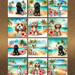 Hibiscus Beach Dogs 8