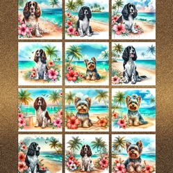 Hibiscus Beach Dogs 9