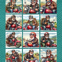 Senior Biker 2