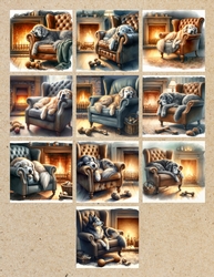 Golden Oldie Dogs 9