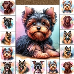 Dog Portraits 6