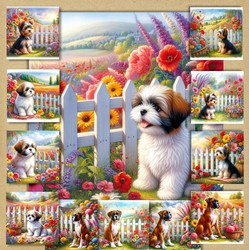 Picket Fence Pups 4