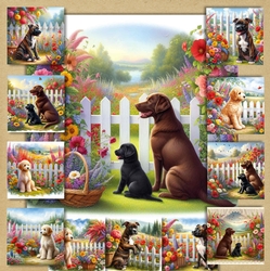 Picket Fence Pups 8