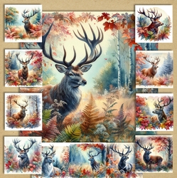 Stag