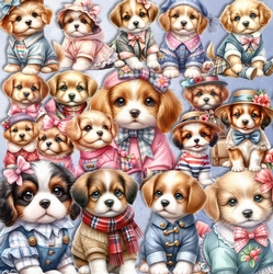 Puppy Cutie