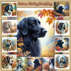 Autumn Working Forest Dogs 1