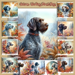Autumn Working Forest Dogs 2