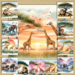 Animal Safari 
