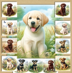 Summer Meadow Pups 3