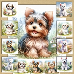Summer Meadow Pups 6
