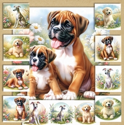 Summer Meadow Pups 7