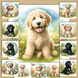Summer Meadow Pups 10