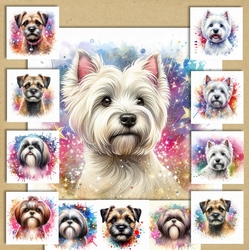 Paint Spash Dog Portraits 6