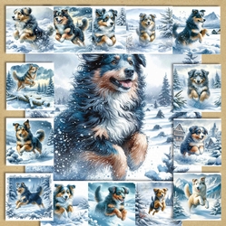 Snow Fun