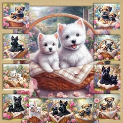 Charming Dog And Pups 6