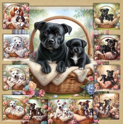 Charming Dog And Pups 10