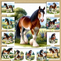  Clydesdale Meadow 1