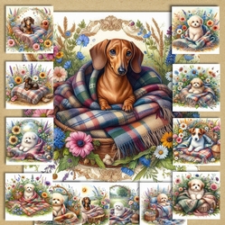 WildFlower Blanket Dogs 13