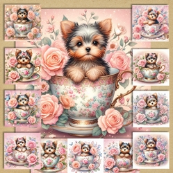 Rose teacup Yorkie