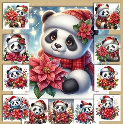 Panda Poinsettia