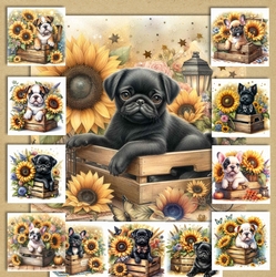 Sunflower Pups 5