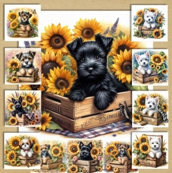 Sunflower Pups 6